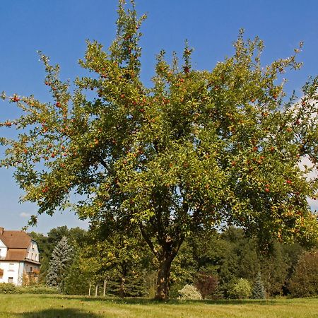Staatsbad Brückenau Hotel Jaegerhof מראה חיצוני תמונה